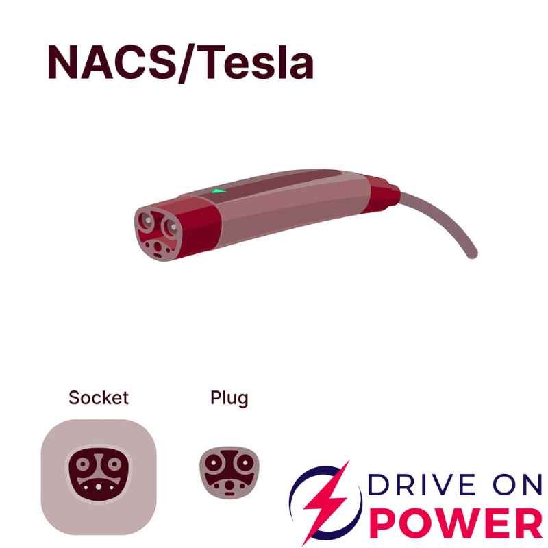 Tesla’s Switch to the NACS Connector